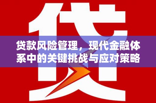 莫旗贷款风险管理，现代金融体系中的关键挑战与应对策略
