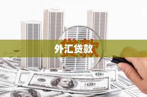 莫旗外汇贷款