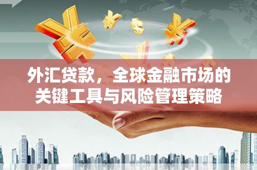 莫旗外汇贷款，全球金融市场的关键工具与风险管理策略