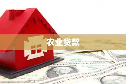 莫旗农业贷款