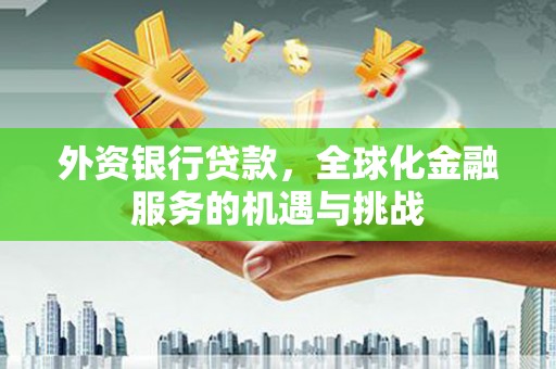 莫旗外资银行贷款，全球化金融服务的机遇与挑战