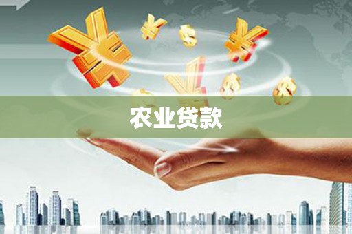 莫旗农业贷款