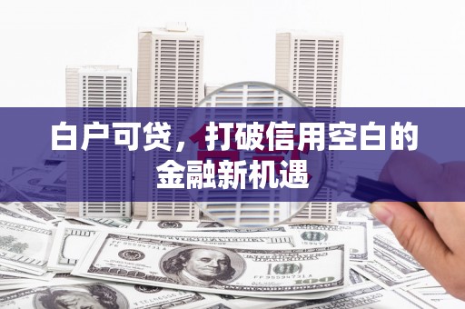 莫旗白户可贷，打破信用空白的金融新机遇