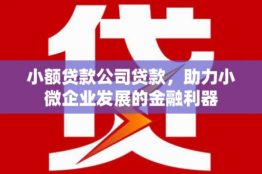 莫旗小额贷款公司贷款，助力小微企业发展的金融利器