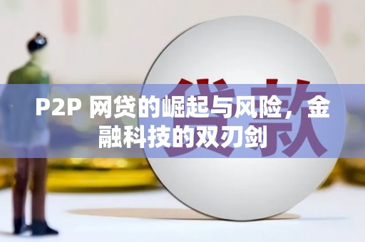 莫旗P2P 网贷的崛起与风险，金融科技的双刃剑