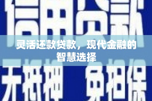 莫旗灵活还款贷款，现代金融的智慧选择