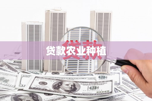 莫旗贷款农业种植