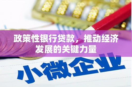 莫旗政策性银行贷款，推动经济发展的关键力量