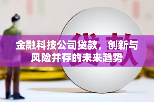 莫旗金融科技公司贷款，创新与风险并存的未来趋势