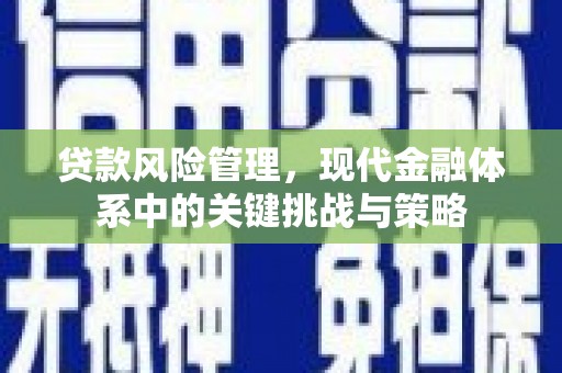 莫旗贷款风险管理，现代金融体系中的关键挑战与策略