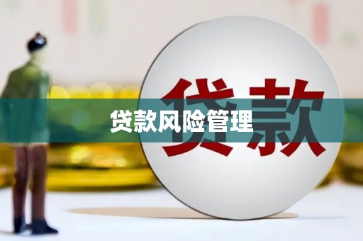 莫旗贷款风险管理