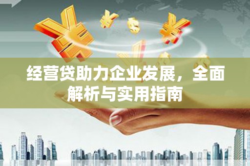 莫旗经营贷助力企业发展，全面解析与实用指南