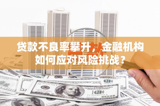 莫旗贷款不良率攀升，金融机构如何应对风险挑战？
