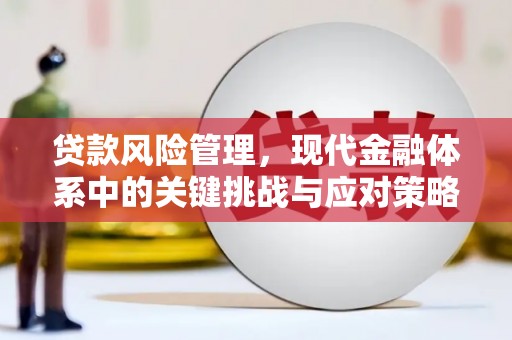 莫旗贷款风险管理，现代金融体系中的关键挑战与应对策略