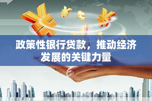 莫旗政策性银行贷款，推动经济发展的关键力量