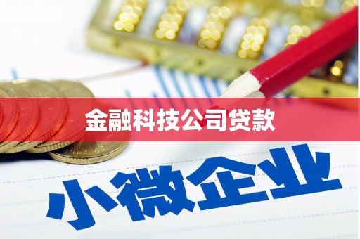 莫旗金融科技公司贷款