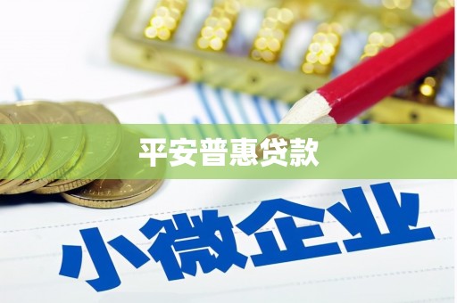 莫旗平安普惠贷款