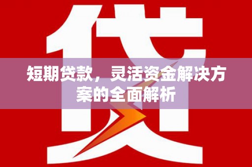莫旗短期贷款，灵活资金解决方案的全面解析