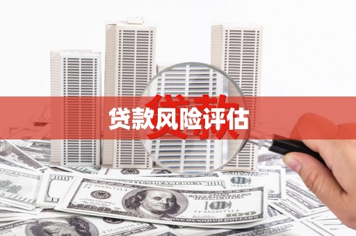 莫旗贷款风险评估