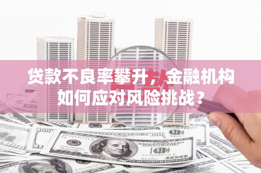 莫旗贷款不良率攀升，金融机构如何应对风险挑战？