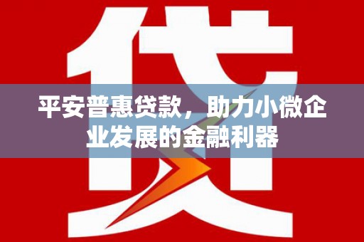 莫旗平安普惠贷款，助力小微企业发展的金融利器