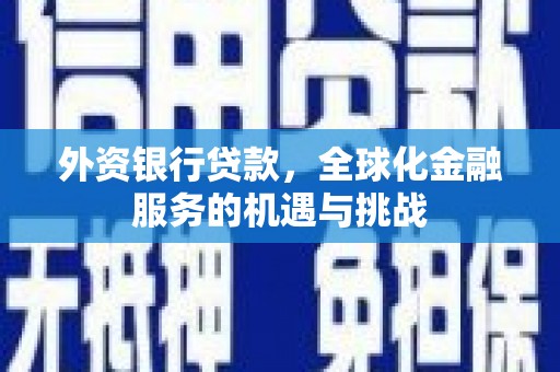 莫旗外资银行贷款，全球化金融服务的机遇与挑战
