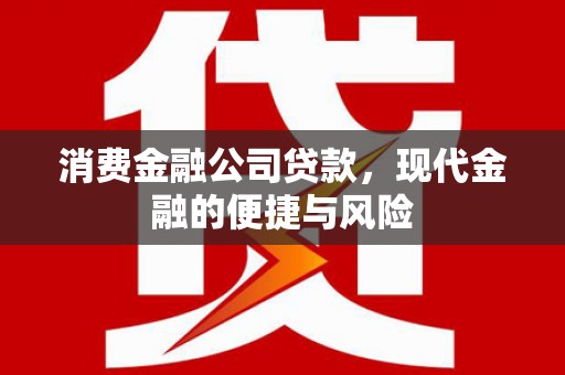 莫旗消费金融公司贷款，现代金融的便捷与风险